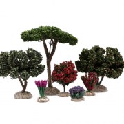 categorie vegetation 2